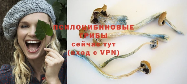 ПСИЛОЦИБИНОВЫЕ ГРИБЫ Елизово