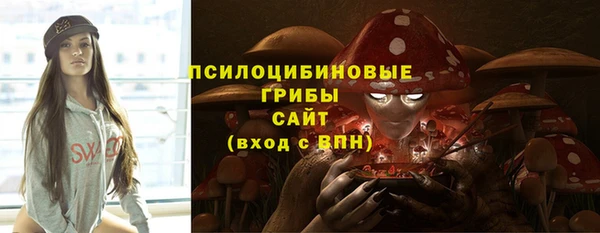 МДПВ Елабуга