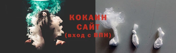 МДПВ Елабуга