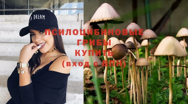 МДПВ Елабуга