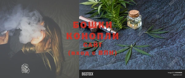 ПСИЛОЦИБИНОВЫЕ ГРИБЫ Елизово