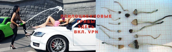 МДПВ Елабуга